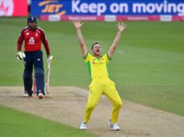 Aus vs Eng t20 series Australia regain top ranking after winning third T20