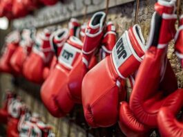 Italian Boxer tested Corona Positive, Indian Boxer Sent For Quarantine latest sports news in hindi