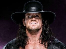 WWE The Undertaker Retire, World Wrestling Entertainment Triple H Kane The Rock latest sports news in hindi