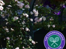 Wimbledon 2022 Grand Slam will start from June 27, know the tales of star players latest sports news in hindi