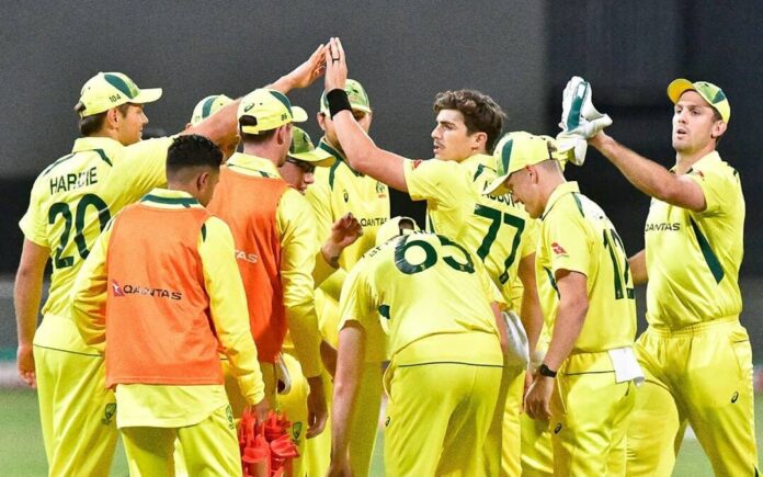 SA vs AUS Mitchell Marsh seals T20 series win, Australia beat south africa by 8 wickets