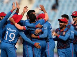 World Cup 2023 NED vs AFG match result Afghanistan beat Netherlands by 7 wickets, ahead of Pakistan in points table