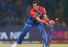 IPL 2025 big blow to rcb and delhi capitals, Josh Hezalwood & Mitchell Starc both will not come again for remaining Matches of IPL, latest sports updates