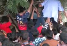 rcb, ipl 2025 champion, stampede in victory parade, latest sports update